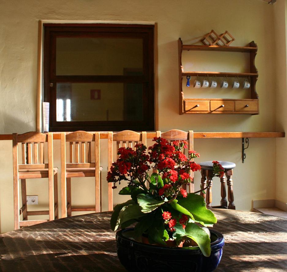 ベニタチェル Casa Antiquaryホステル エクステリア 写真