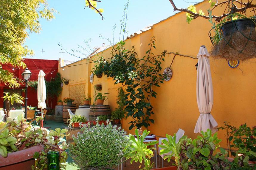 ベニタチェル Casa Antiquaryホステル エクステリア 写真