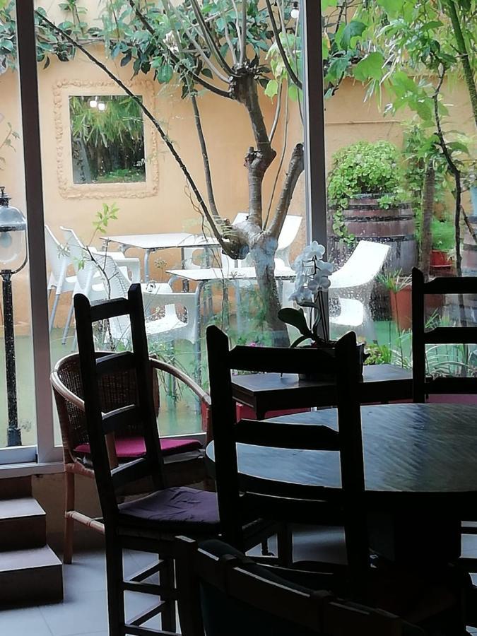 ベニタチェル Casa Antiquaryホステル エクステリア 写真